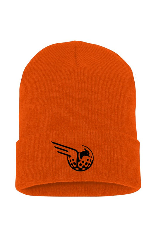 Cuffed Beanie